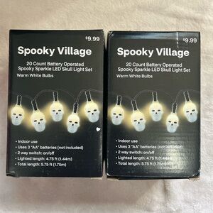 Spooky Sparkle LED Skull Light Set 2 Boxes White Bulbs 4.75 FT Lighted Length
